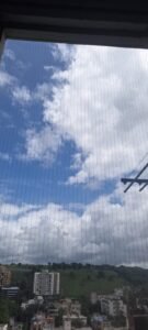 Balcony Bird Netting services 